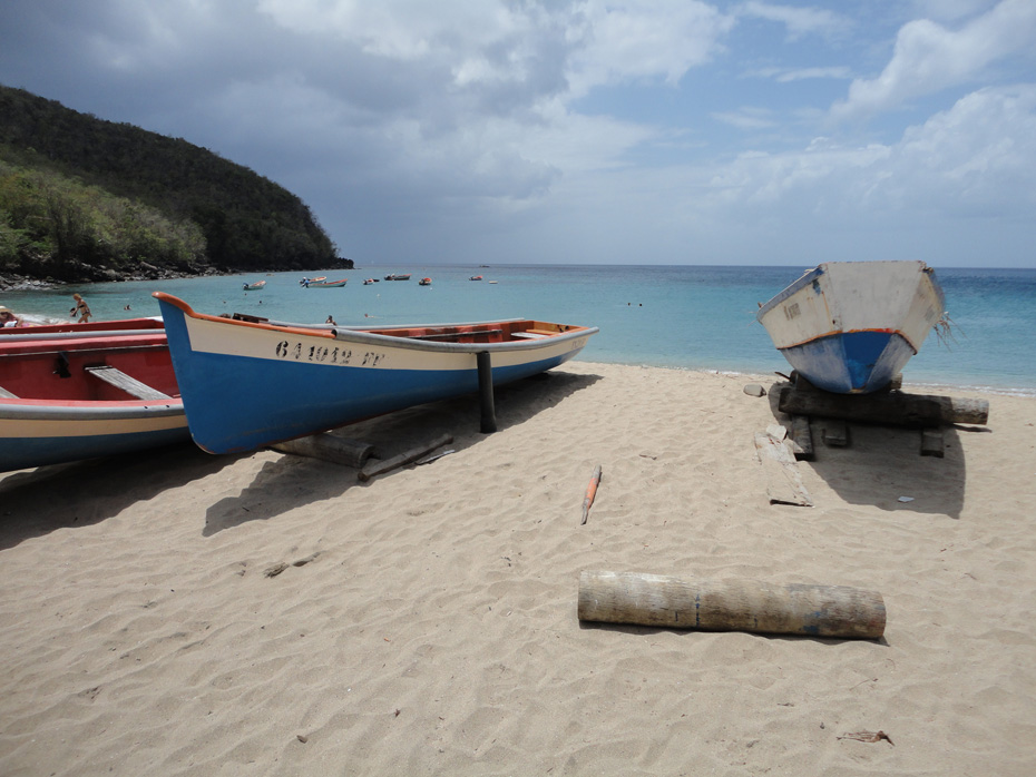 Le site Luciol vous invite à découvrir la Martinique sous toutes ses coutures afin de devenir un ambassadeur de l'île à travers le monde. Vivez des expériences enrichissantes.