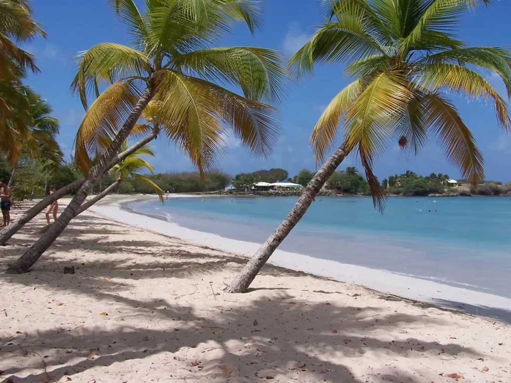 Parmi les plages de Martinique, la plage des Salines