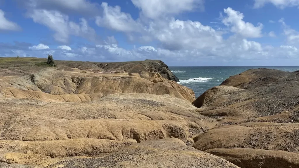 Randonnée La Savane des Pétrifications