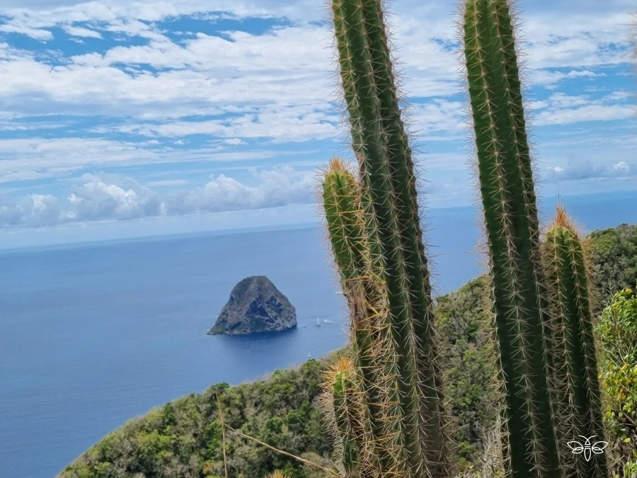 Vue sur le Rocher du Diamant depuis le Morne Larcher