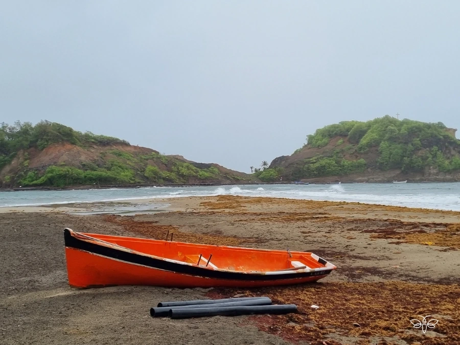 Vue sur le Tombolo de Martinique depuis la plage